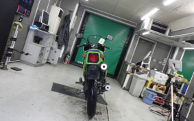 KAWASAKI KR250 KR250A