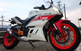 YAMAHA YZF-R25 ABS RG43J