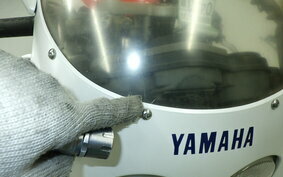 YAMAHA FZR250 R 3LN