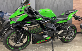 KAWASAKI NINJA ZX 25 R SE ZX250E