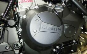 KAWASAKI ZH2 2024 ZRT00R