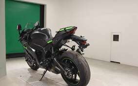 KAWASAKI ZX 10 NINJA ABS 2019 ZXT02E