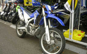 YAMAHA WR250R 2009 DG15J