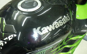 KAWASAKI ZX 1400 NINJA 2007 ZXNA19