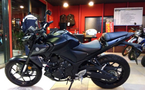 YAMAHA MT-25 ABS RG43J