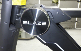 KAWASAKI BLAZE BLAZE