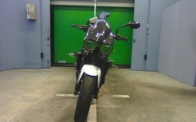 TRIUMPH SPEED TRIPLE 2010 E5865R