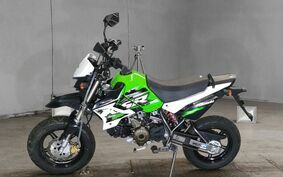 KAWASAKI KSR PRO 不明