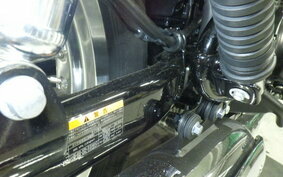 KAWASAKI W800 STREET 2020 EJ800B