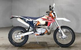 KTM 250 EXC TPI SIXDAYS GSA