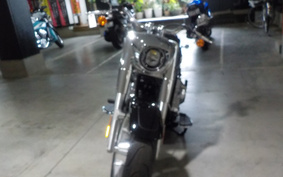 HARLEY FLFBS 2024 YGK