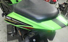 KAWASAKI ZX-25R ZX250E