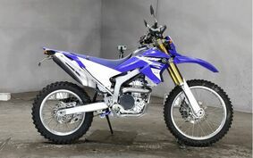 YAMAHA WR250R DG15J