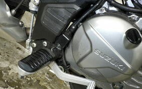 SUZUKI DL650 ( V-Strom 650 ) 2020 C733A