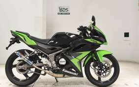 KAWASAKI NINJA150RR KR150P