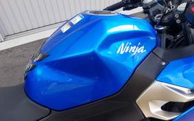 KAWASAKI Ninja 250 ABS EX250P