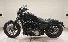 HARLEY XL883N 2019