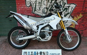 YAMAHA WR250R DG15J