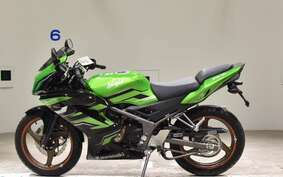 KAWASAKI NINJA150RR KR150P