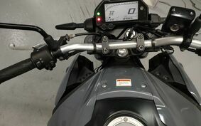 YAMAHA MT-25 RG109