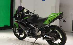 KAWASAKI NINJA150RR