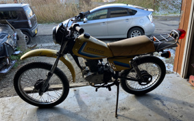 SUZUKI TS50 Hustler TS503