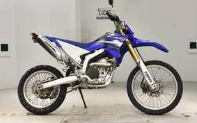 YAMAHA WR250R DG15J