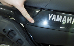 YAMAHA TW225 DG09J