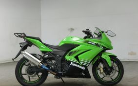 KAWASAKI NINJA 250R 2009 EX250K