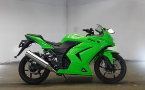 KAWASAKI NINJA 250R 2008 EX250K