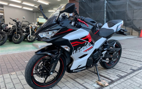 KAWASAKI NINJA 250 EX250P