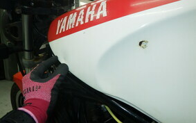 YAMAHA RZ250R 29L