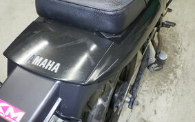 YAMAHA TW225 DG09J