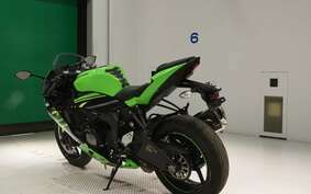 KAWASAKI NINJA ZX-6R A 2019 ZX636G