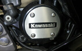 KAWASAKI NINJA150RR KR150P