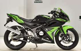 KAWASAKI NINJA150RR KR150P