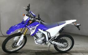 YAMAHA WR250R DG15J