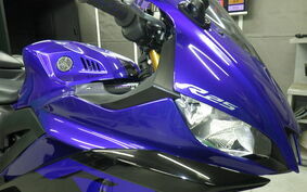 YAMAHA YZF-R25 RG43J