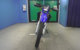 YAMAHA WR250R 2007 DG15J