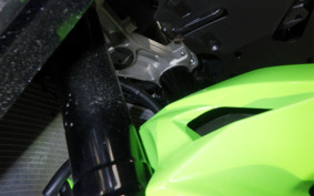 KAWASAKI NINJA ZX-6R A 2024 ZX636J