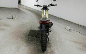 YAMAHA TRICKER DG10J