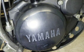 YAMAHA TW225 DG09J