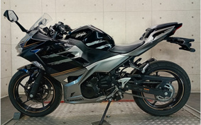 KAWASAKI NINJA 250 EX250P