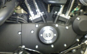 HARLEY XL883N 2020