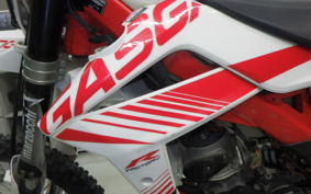 GASGAS EC 250