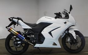 KAWASAKI NINJA 250R 2009 EX250K