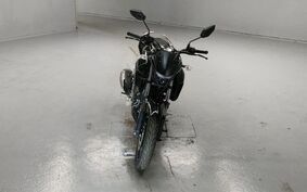 YAMAHA FZ25 不明