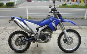 YAMAHA WR250R DG15J