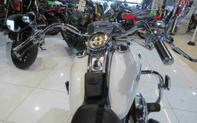 HARLEY FLHRS 2007 FY4