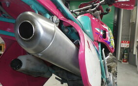 KAWASAKI KDX250SR DX250F